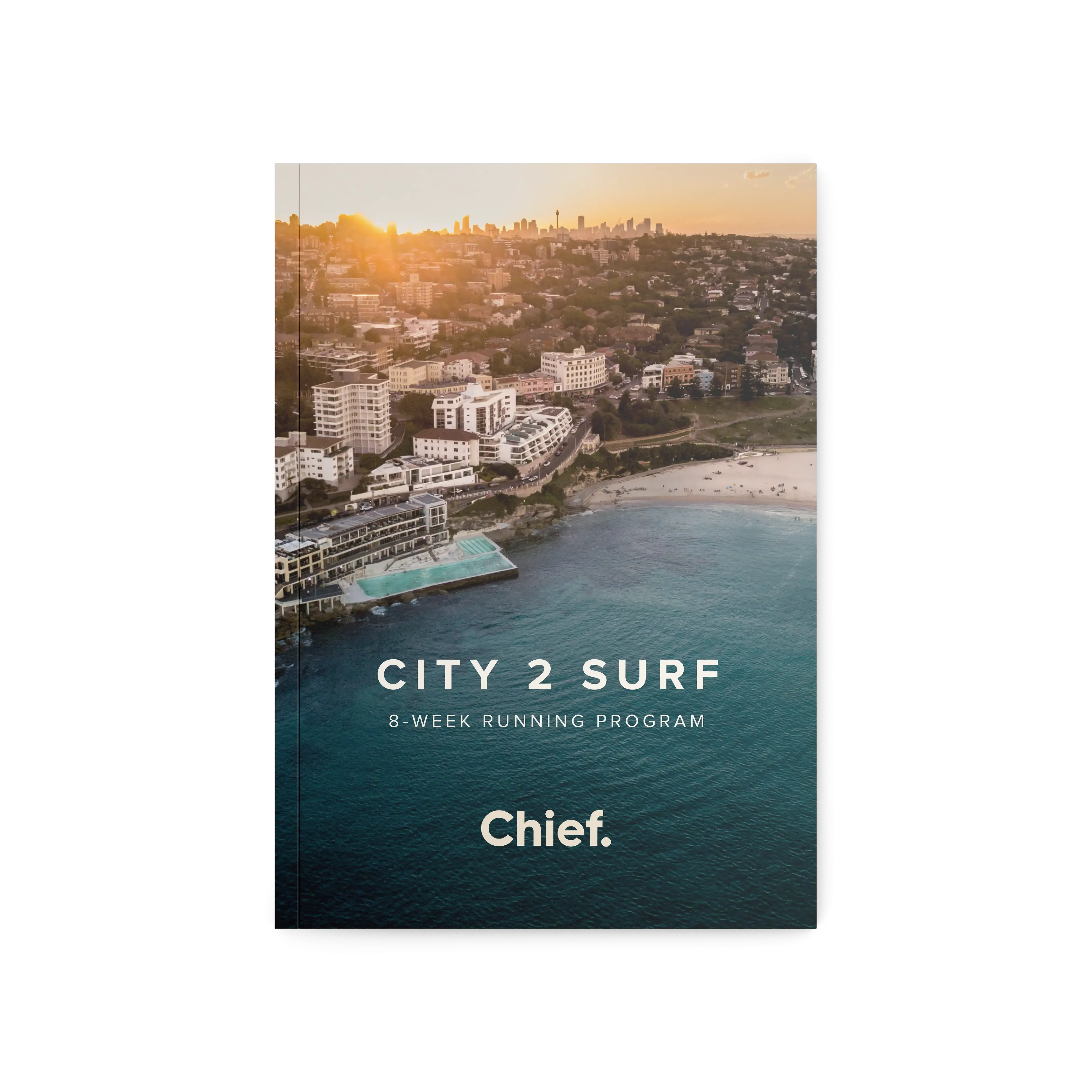 Chief City 2 Surf