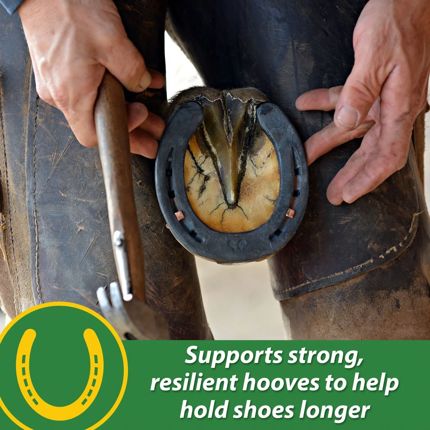 H.B. 15 Hoof Pellets for Horses
