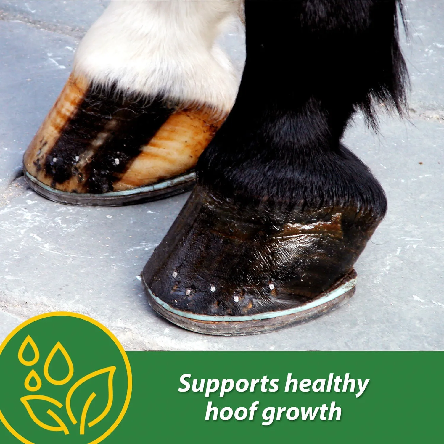 H.B. 15 Hoof Pellets for Horses