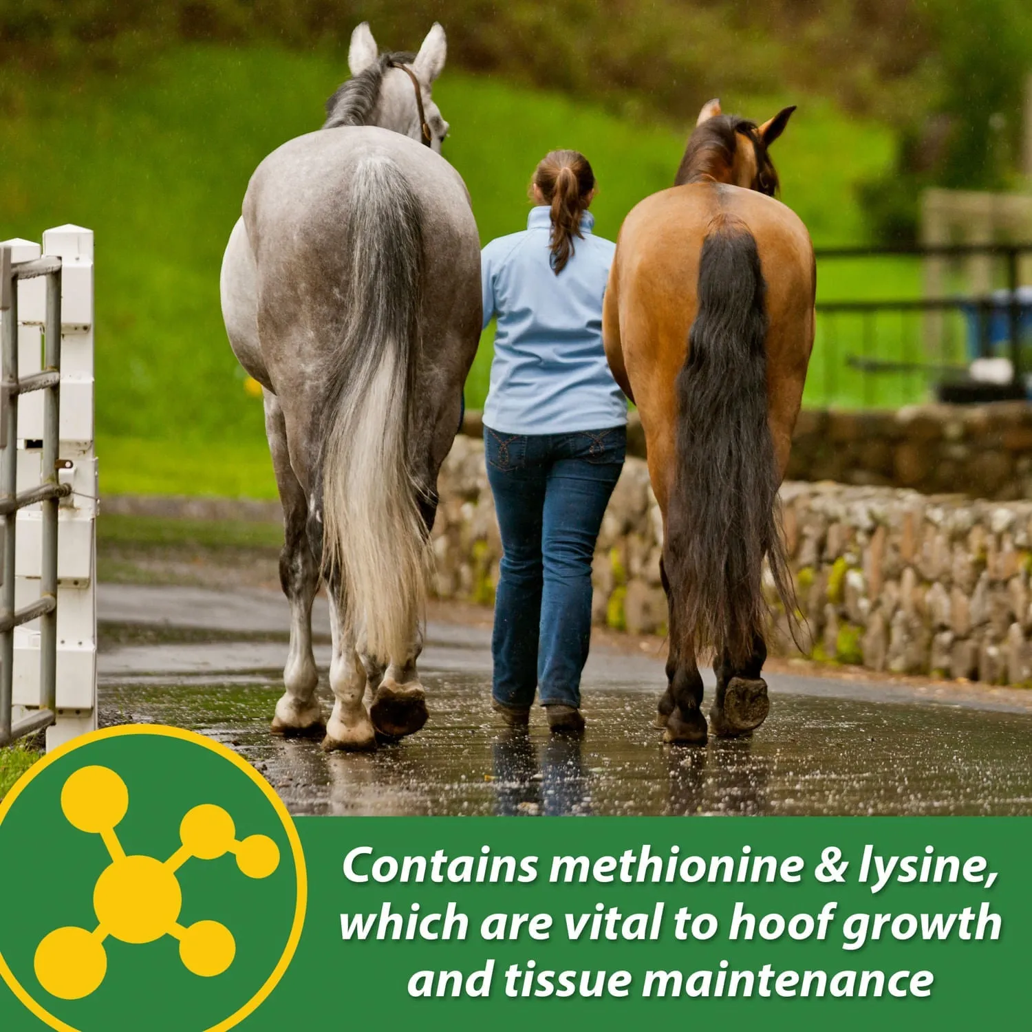 H.B. 15 Hoof Pellets for Horses