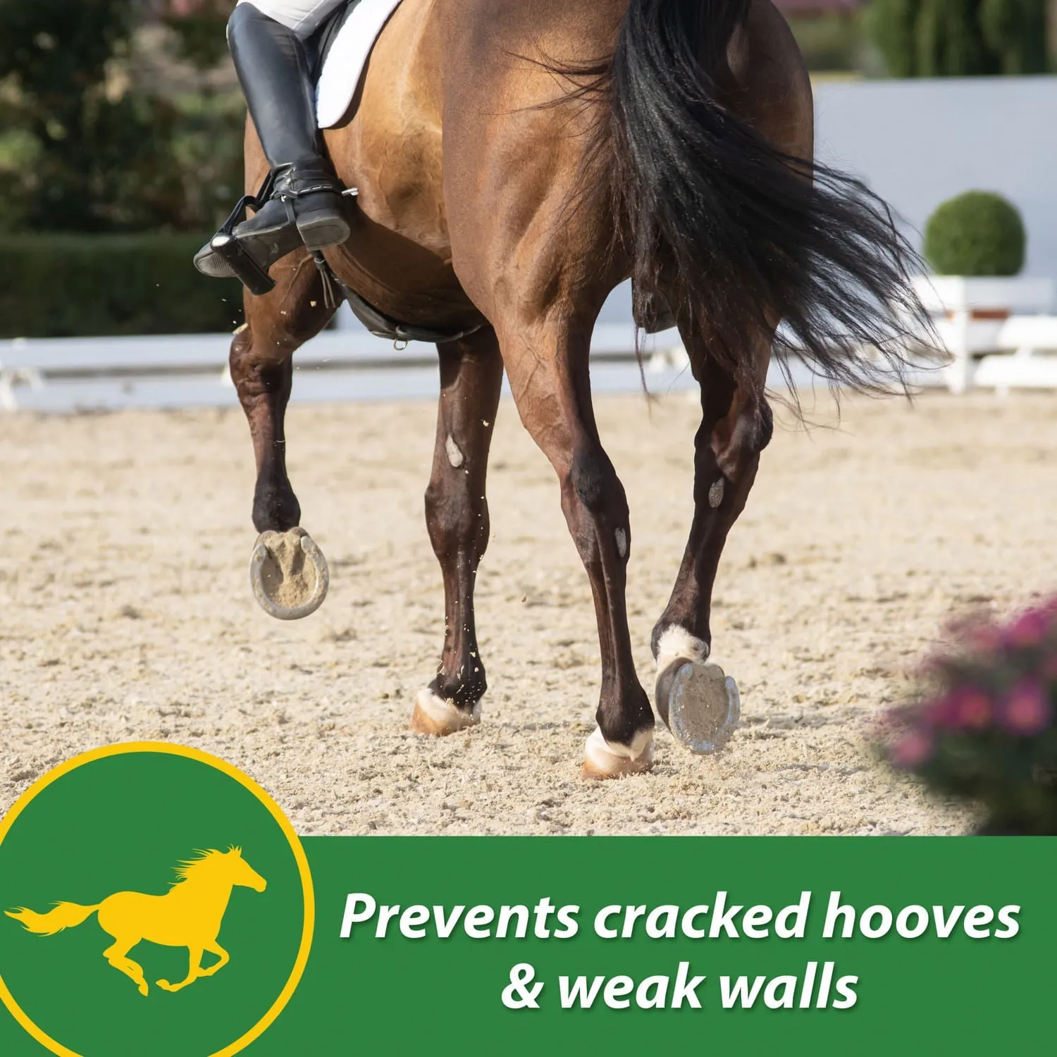 H.B. 15 Hoof Pellets for Horses