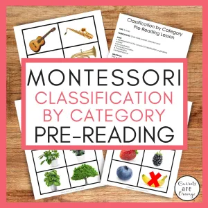 [Pre-Reading] Classification by Category Cards